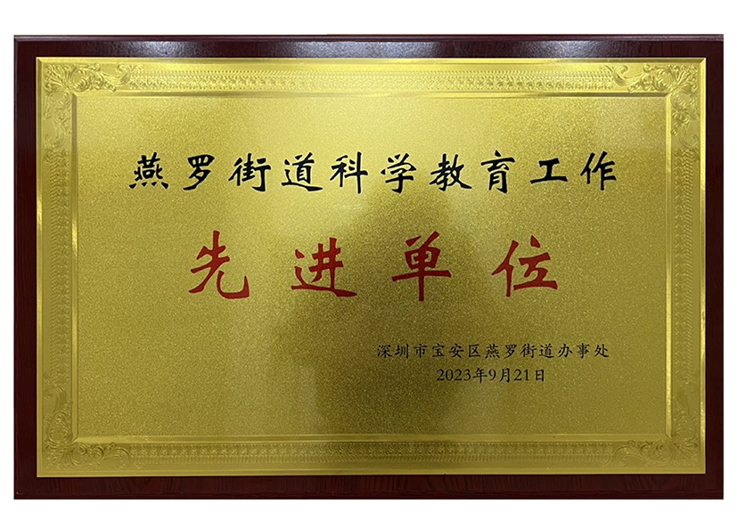 燕罗街道科学教育工作先进单位